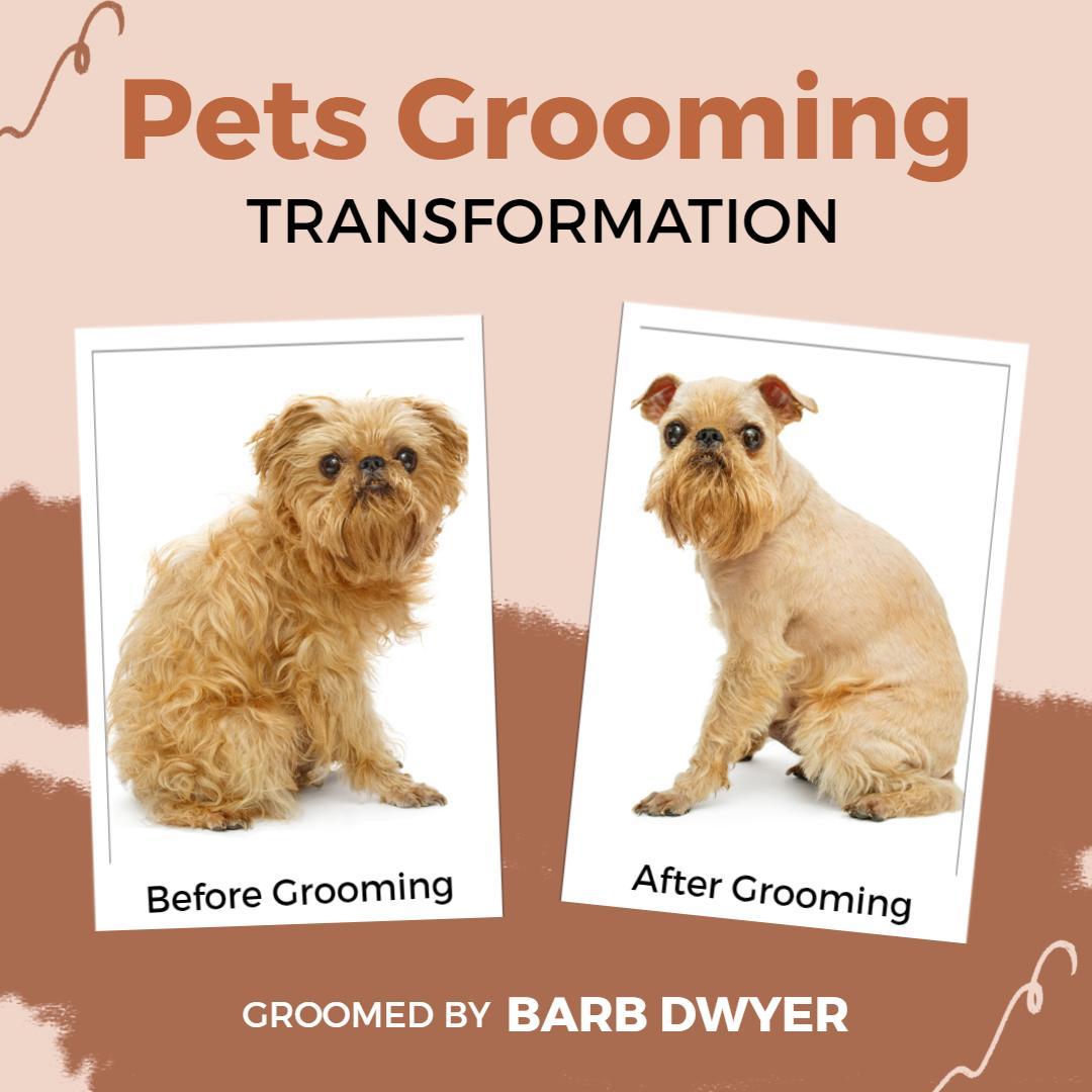 Pet Grooming Transformation Before and After Ad Template
