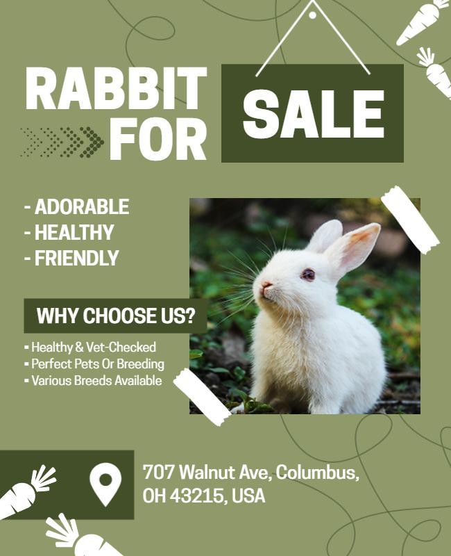 Pet Rabbit Sale Promotional Flyer Template