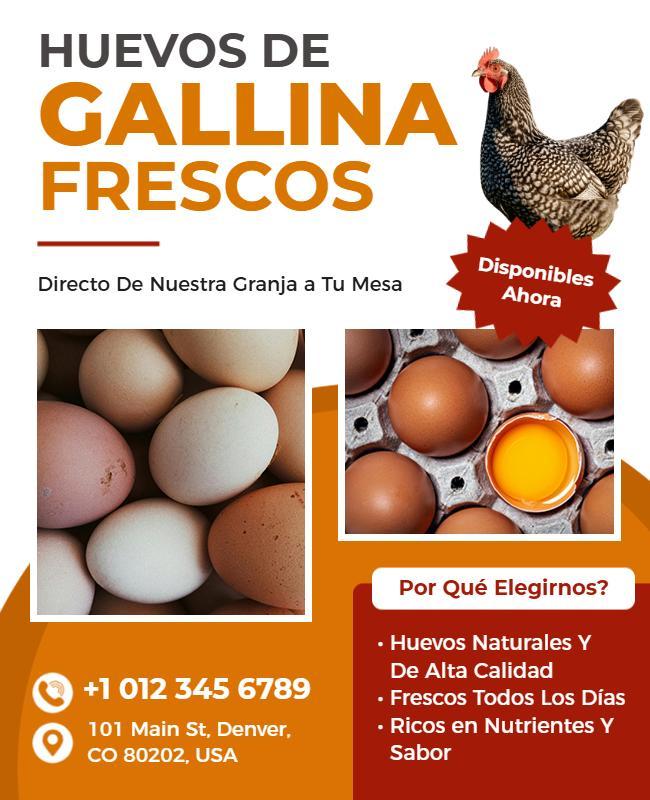 Plantilla De Folleto Promocional De Huevos De Gallina Frescos De Granja