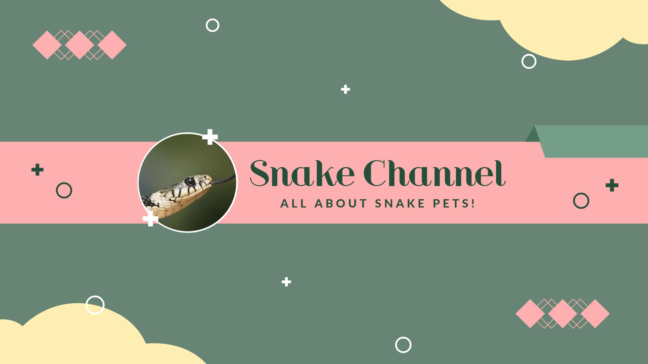 Playful Green and Pink Snake Pets YouTube Channel Banner Template