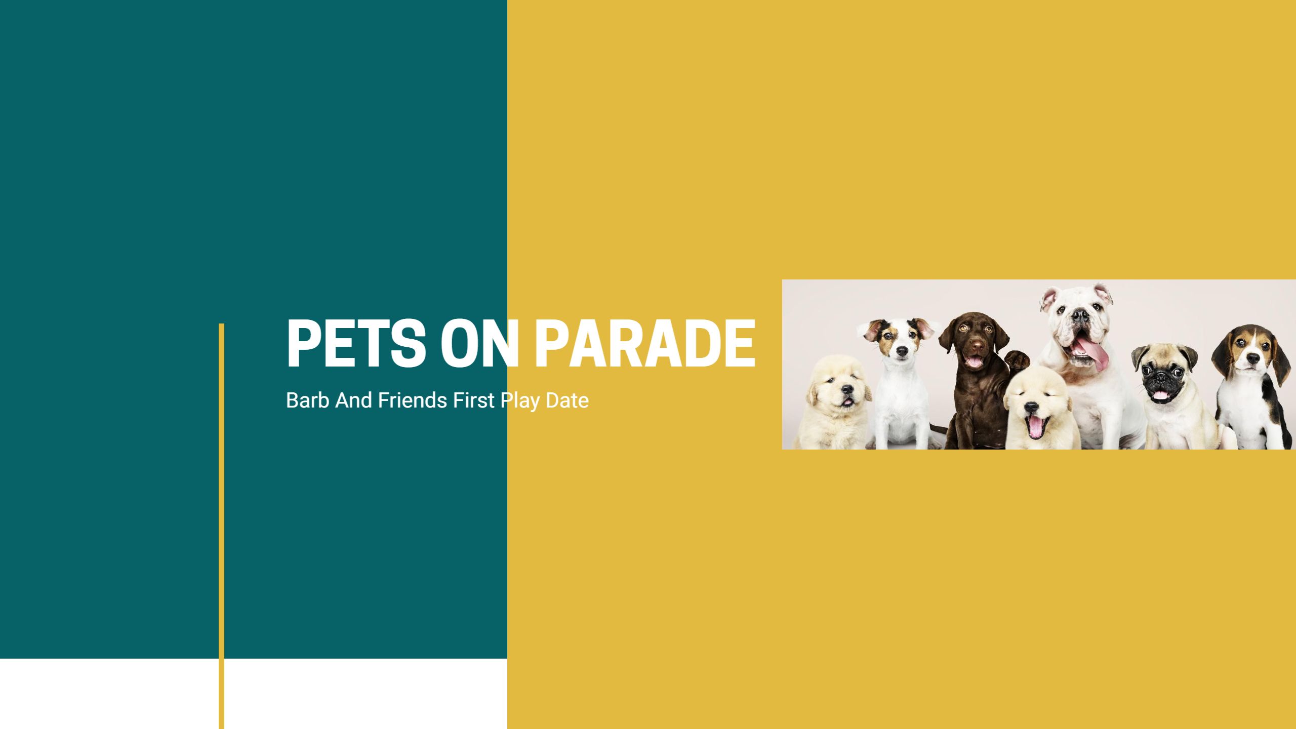 Playful Pets on Parade with Bright Two-Tone Colors YouTube Banner Template