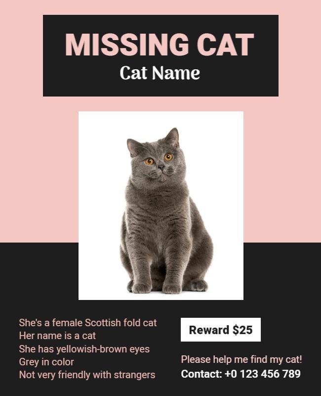 Playful Pink Missing Cat Announcement Poster Template