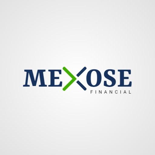 Professional Financial Management Showcased in Modern Logo Template