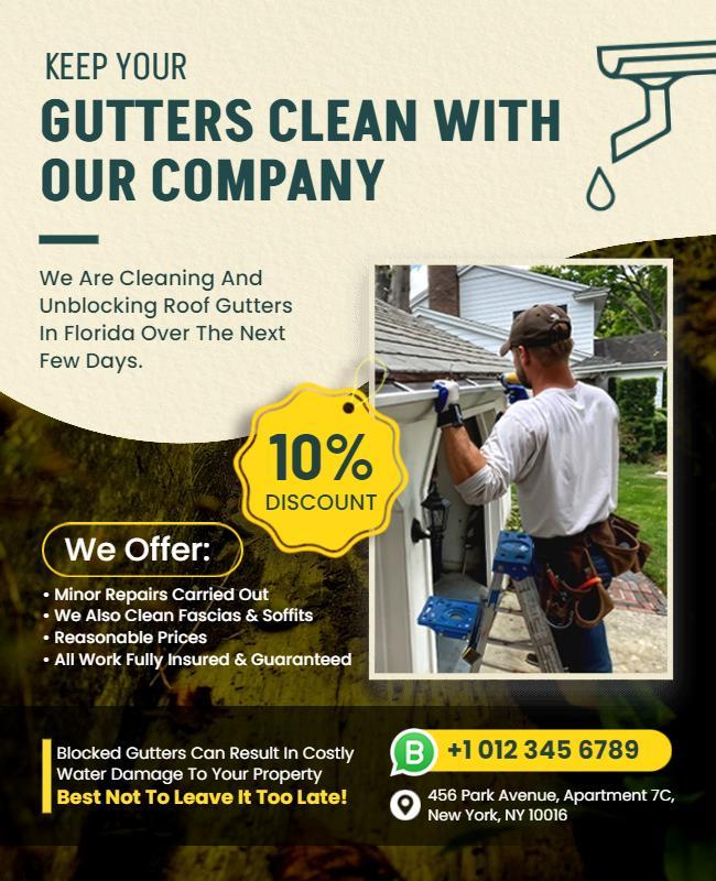 Professional Gutter Cleaning Services Flyer Template