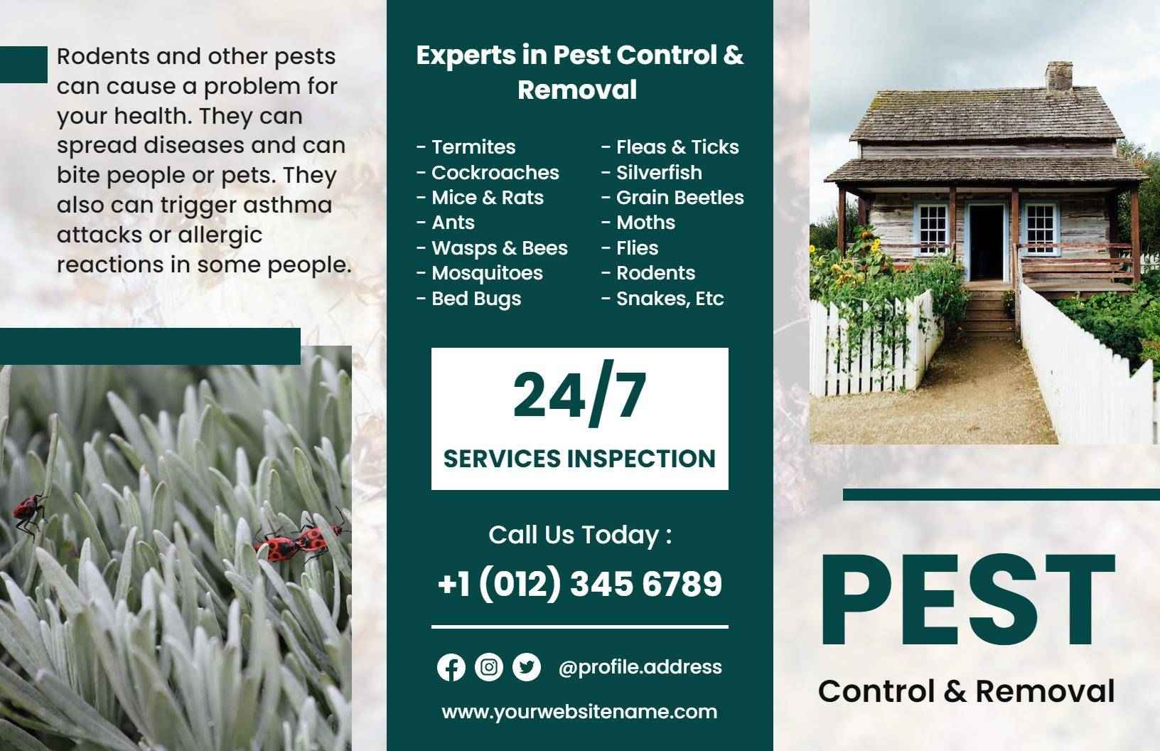 Professional Pest Control Services and Inspection Brochure Template