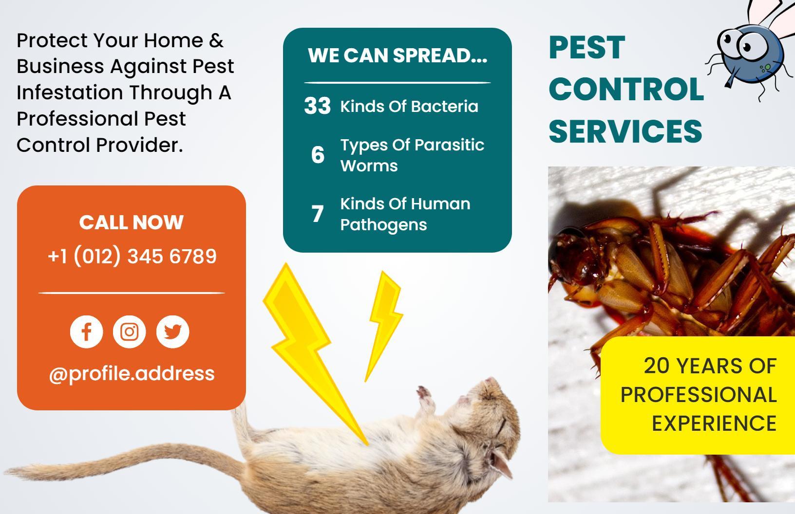Professional Pest Control Services Infographic Brochure Template