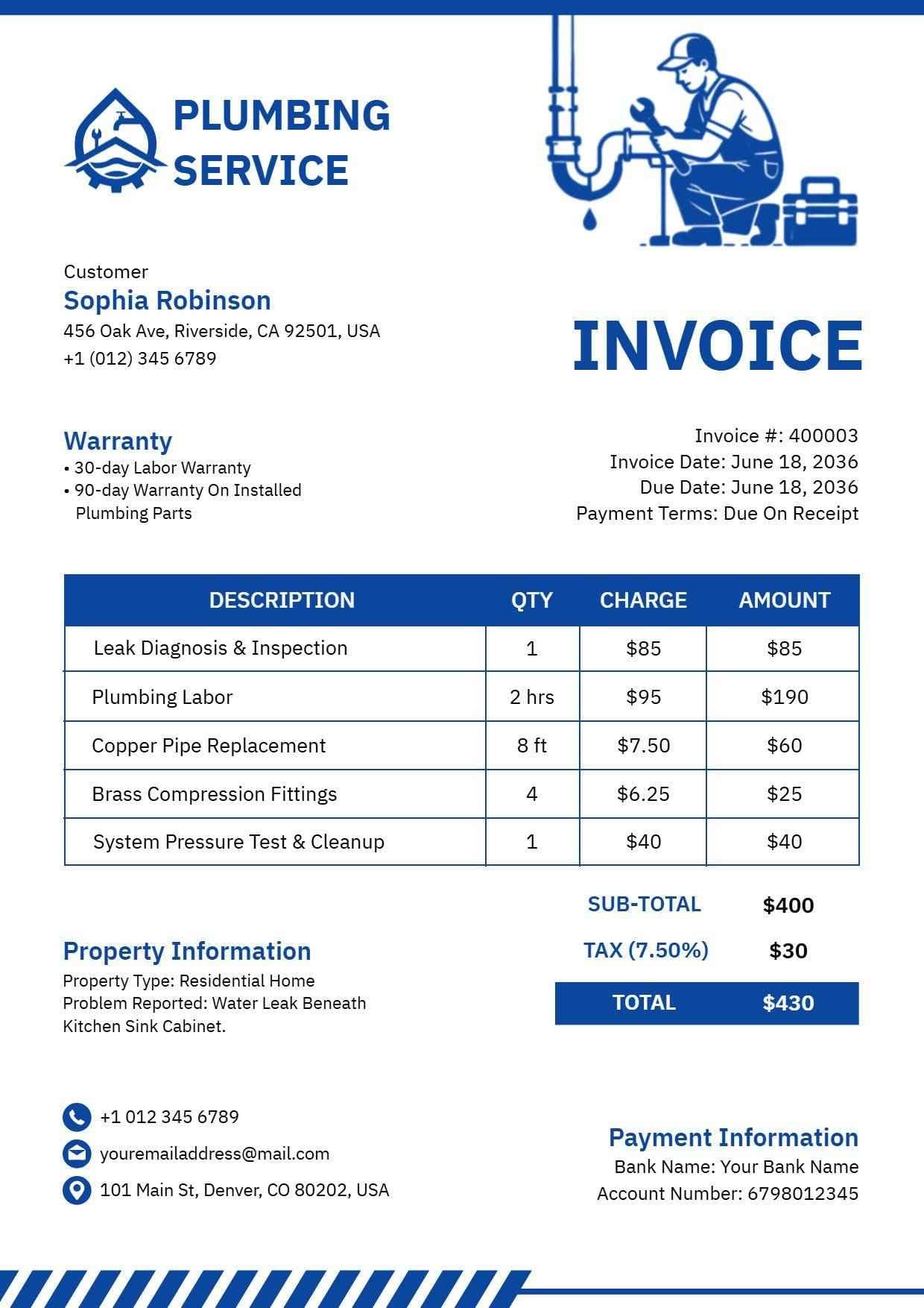 Professional Plumbing Service Costs Invoice Template