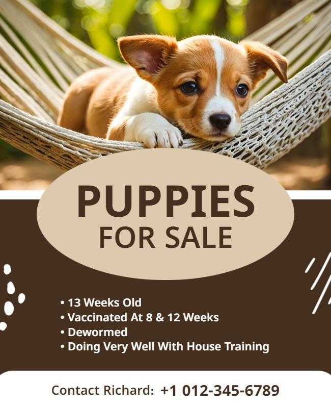 Puppies for Sale Adoption Flyer Template