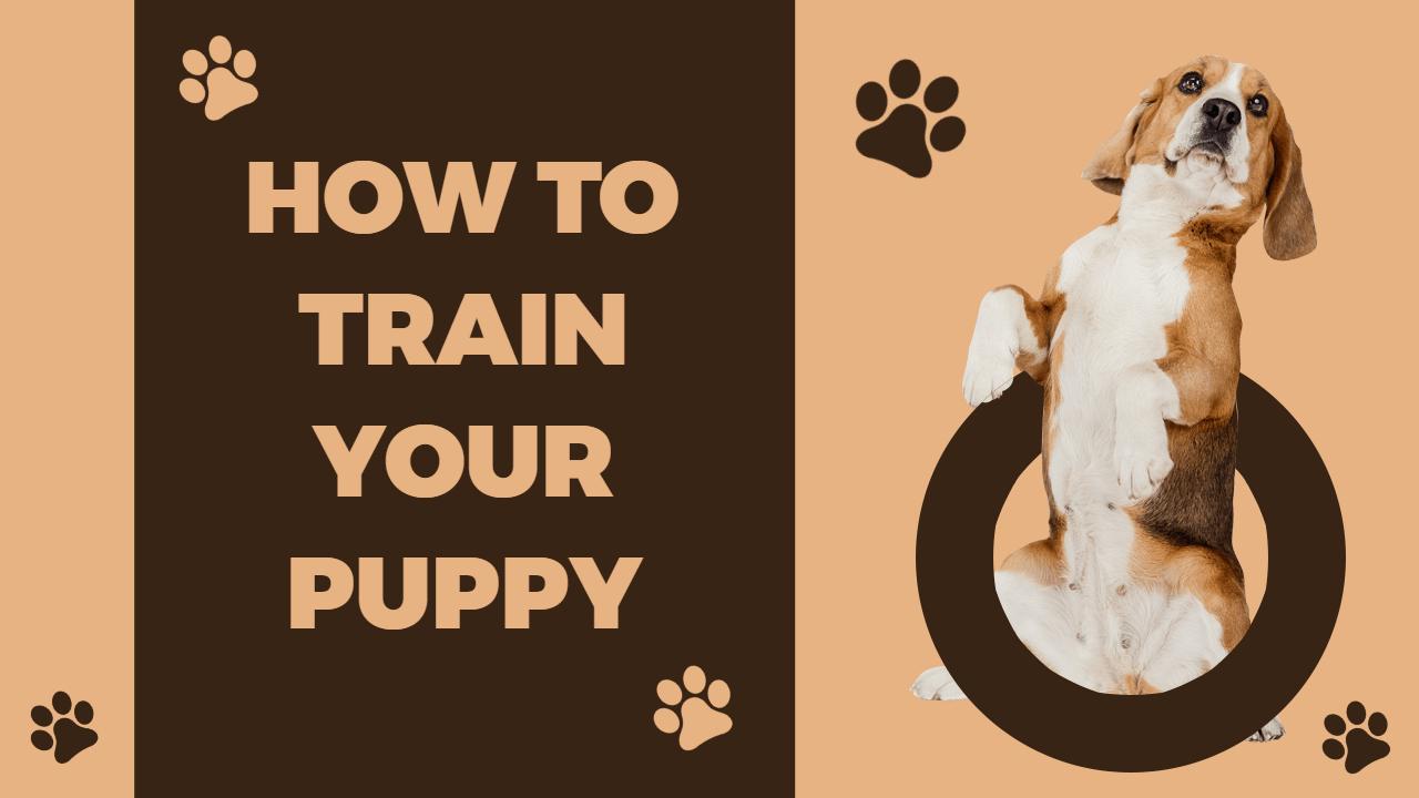 Puppy Training Tips Guide Trending YouTube Thumbnail Template