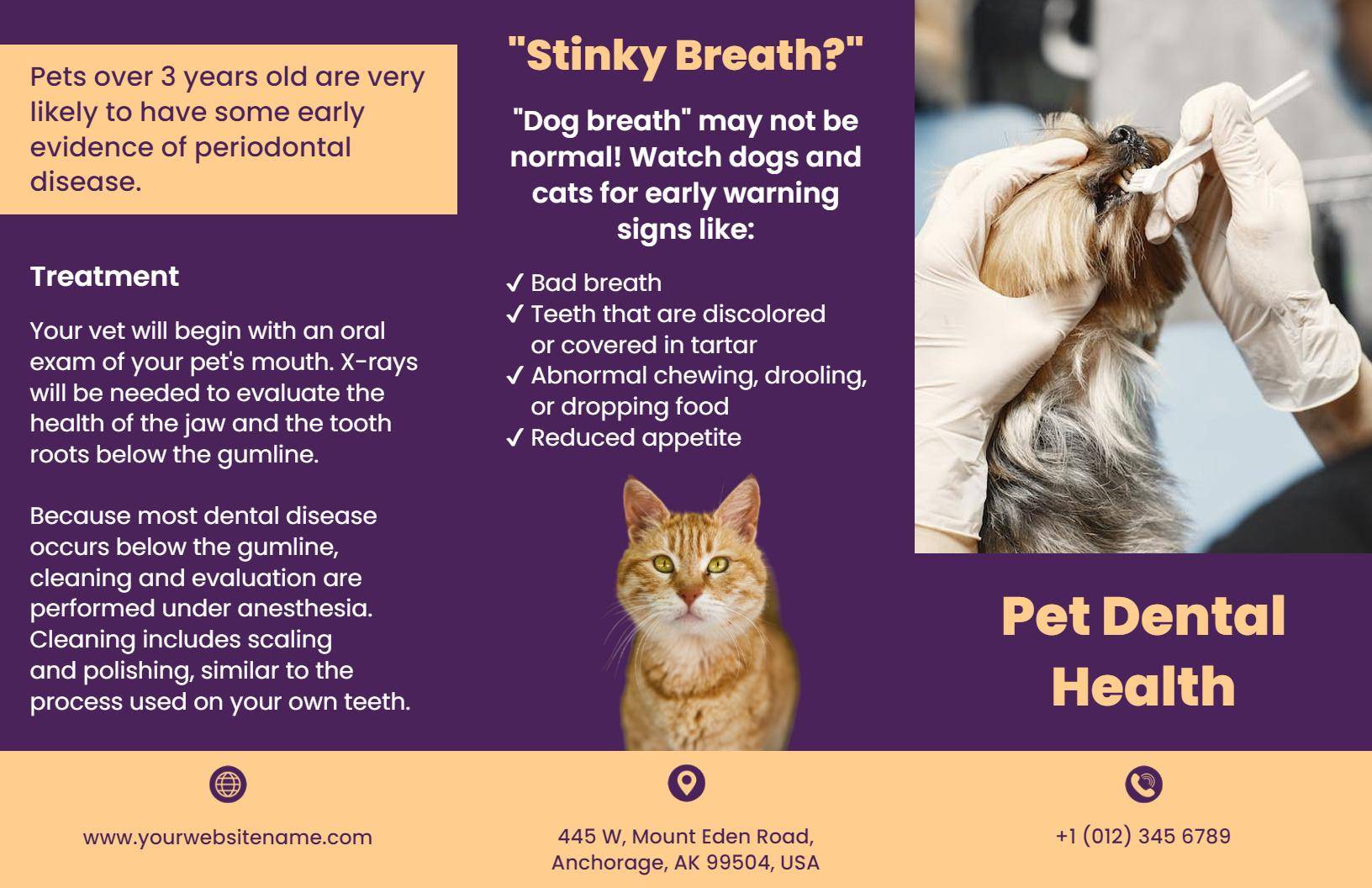 Purple Pet Dental Health Care Tips and Treatment Brochure Template
