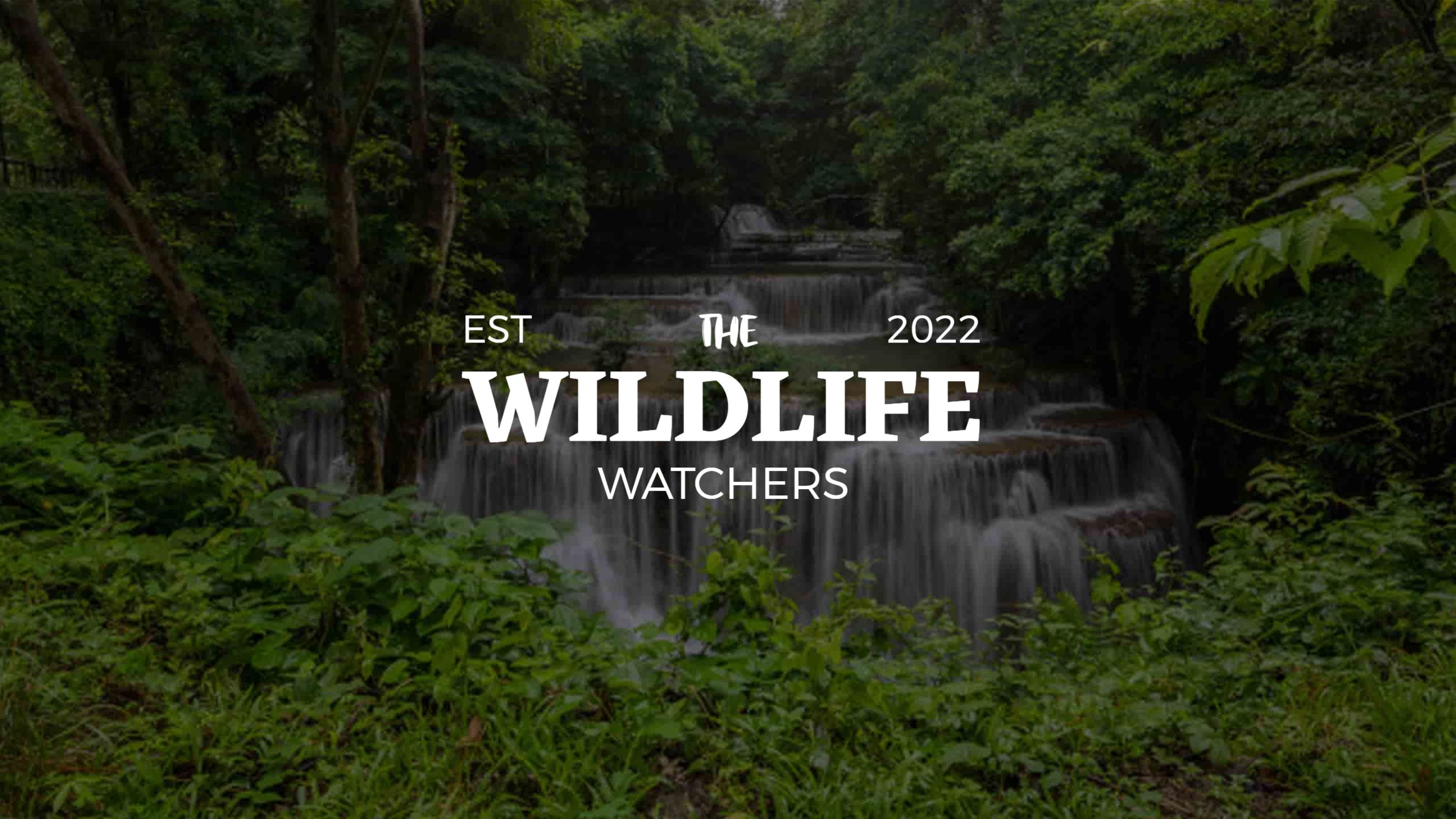 Serene Waterfall Surrounded by Lush Greenery YouTube Banner Template