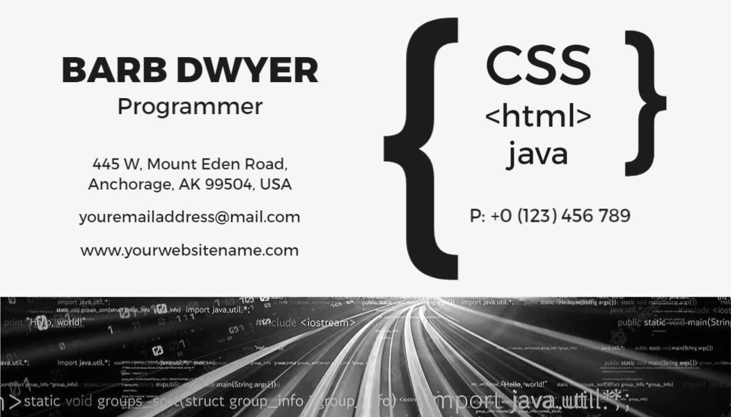 Sleek Black and White Programmer Networking Business Card Template