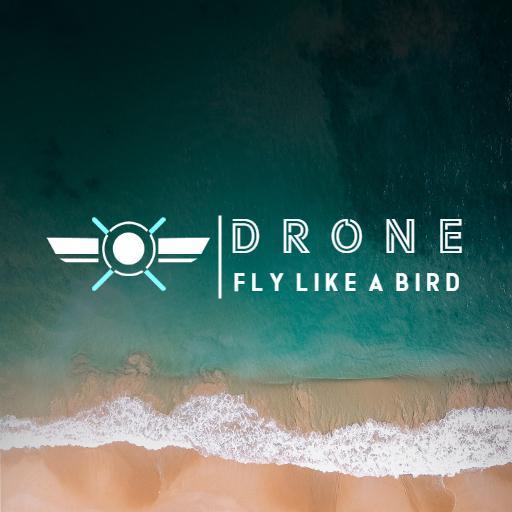 Soaring Over Ocean Waves with Drone Design Logo Template