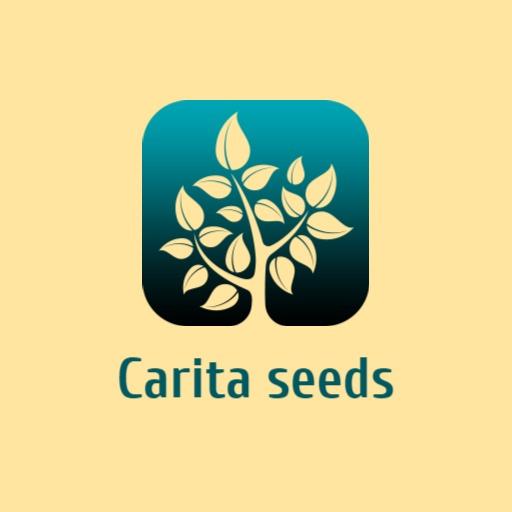 Soft Gradient Tree Design Representing Nature and Growth Logo Template