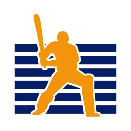 Striking Orange Silhouette Representing Cricket Team Logo Template