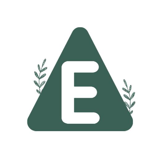 Stylish Green Triangle Featuring Letter E Design Logo Template