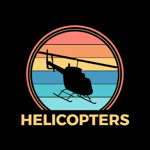 Stylish Vintage Sunset Design Featuring Helicopters Logo Template