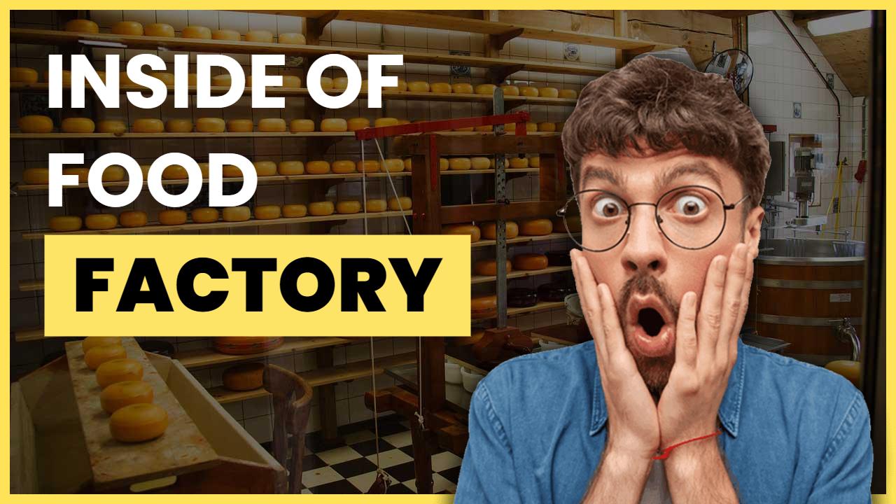 Surprising Inside Food Factory Tour YouTube Thumbnail Template