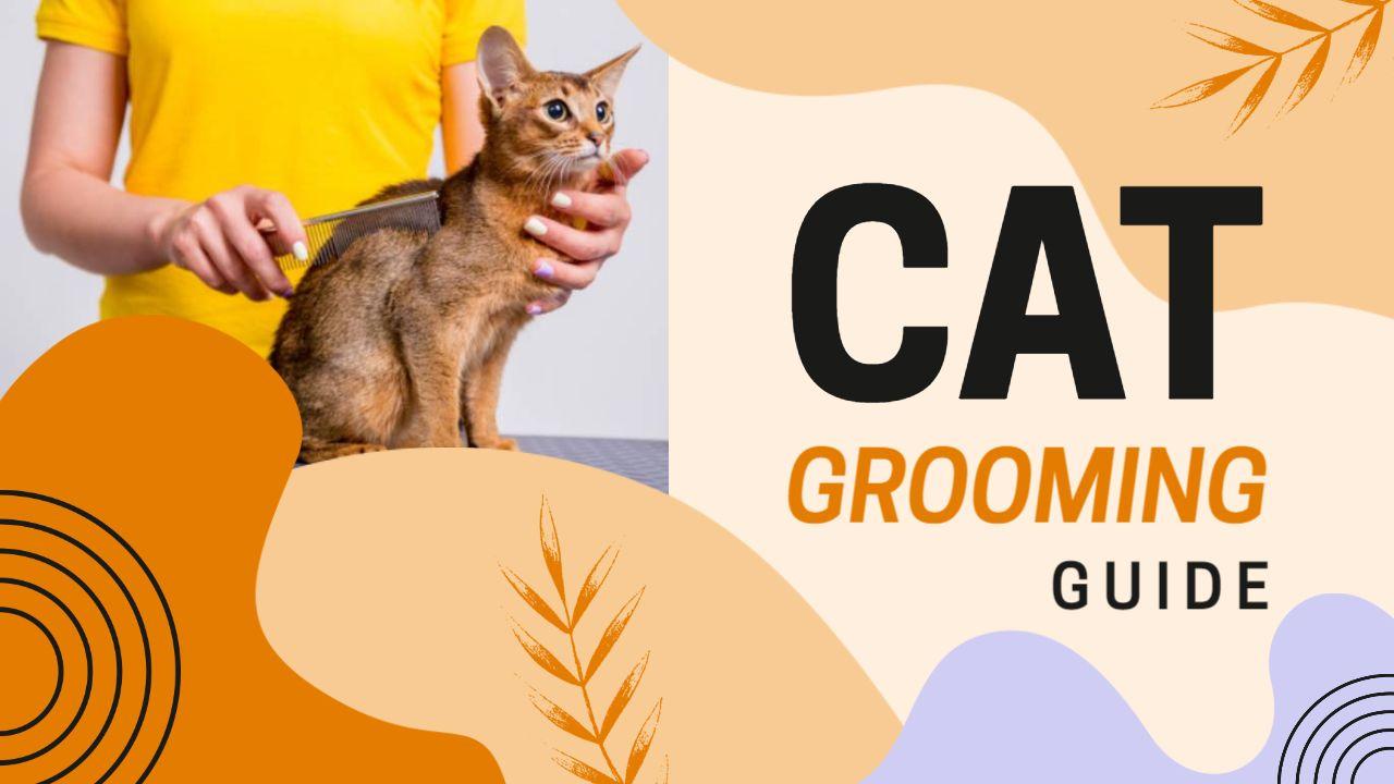 Trending Cat Grooming Tutorial YouTube Thumbnail Template