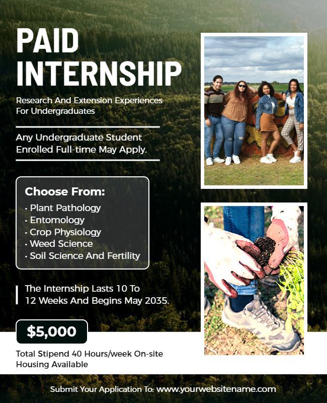 Undergraduate Paid Internship Opportunities Flyer Template