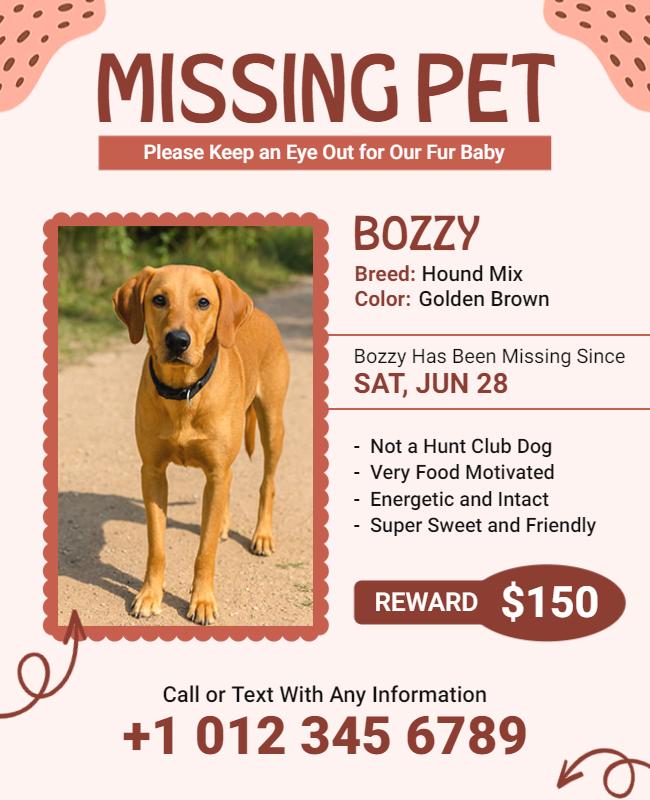 Urgent Appeal for Missing Pet Flyer Template