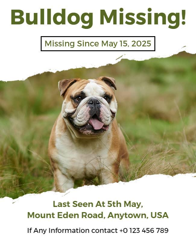 Urgent Bulldog Missing Pet Alert Poster Template
