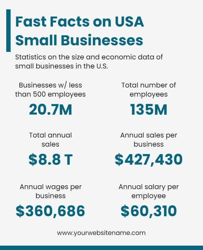 Usa Small Business Statistics Flyer Template