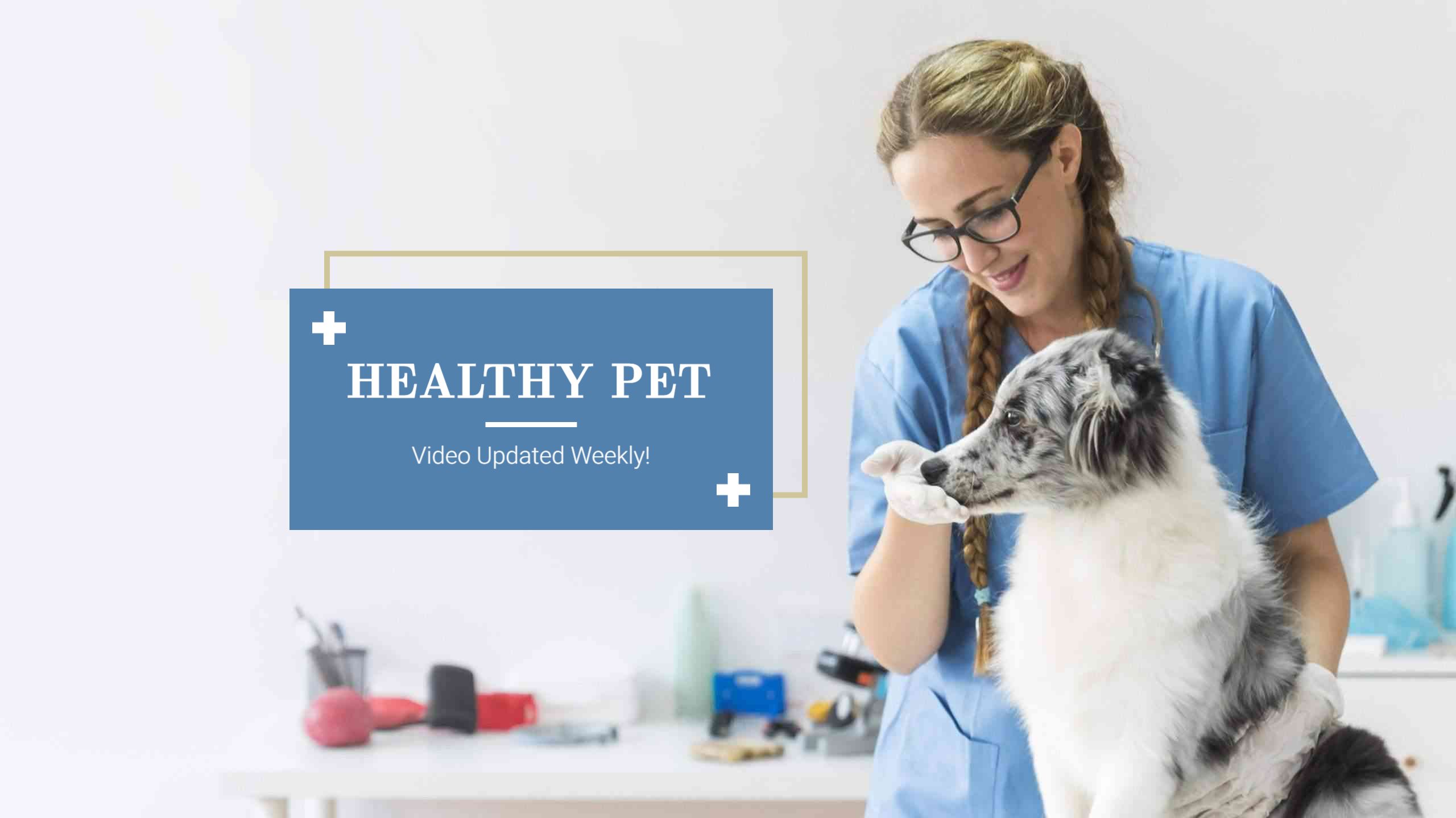 Veterinary Care with Pet Featured on Soft Blue YouTube Banner Template