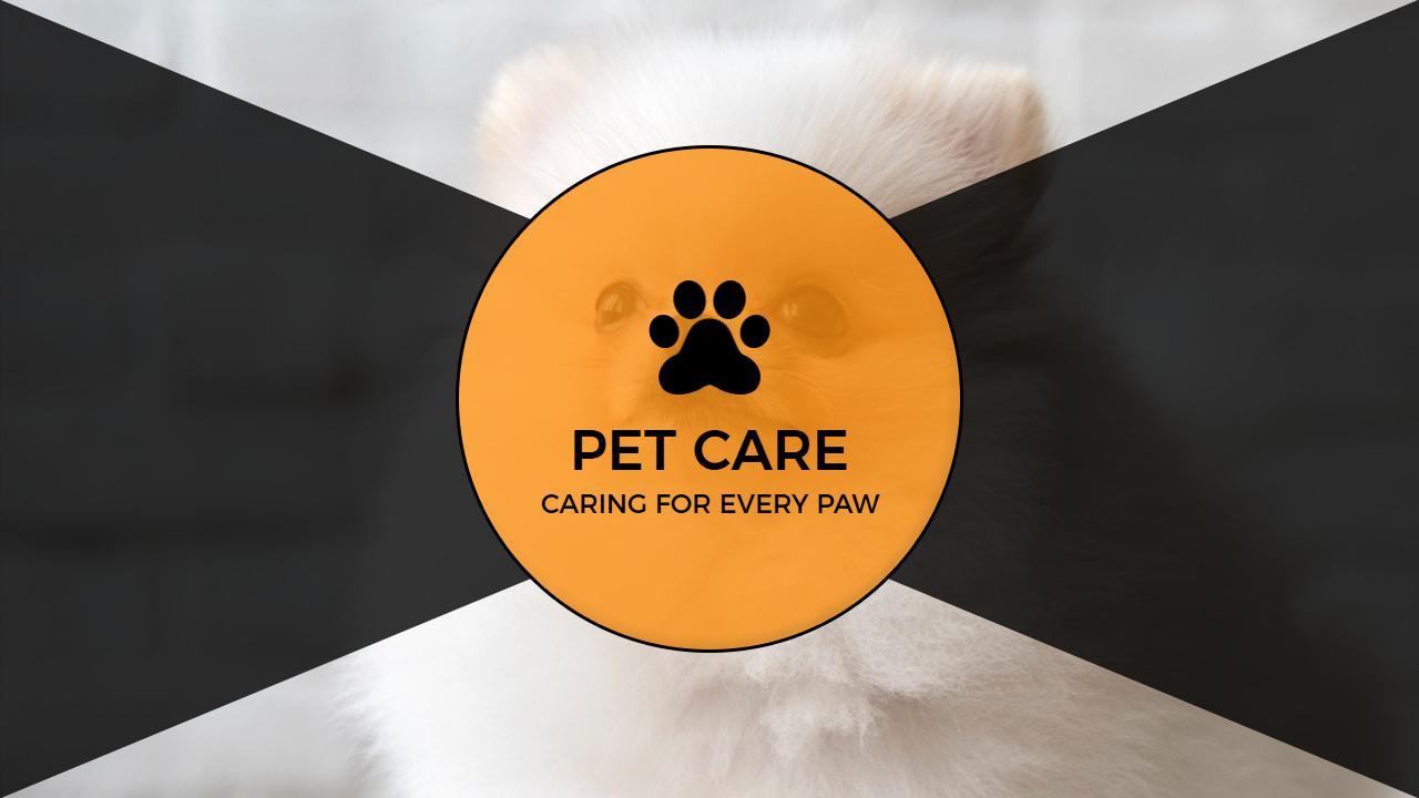 Vibrant Black and Orange Pet Care Services Presentation Template