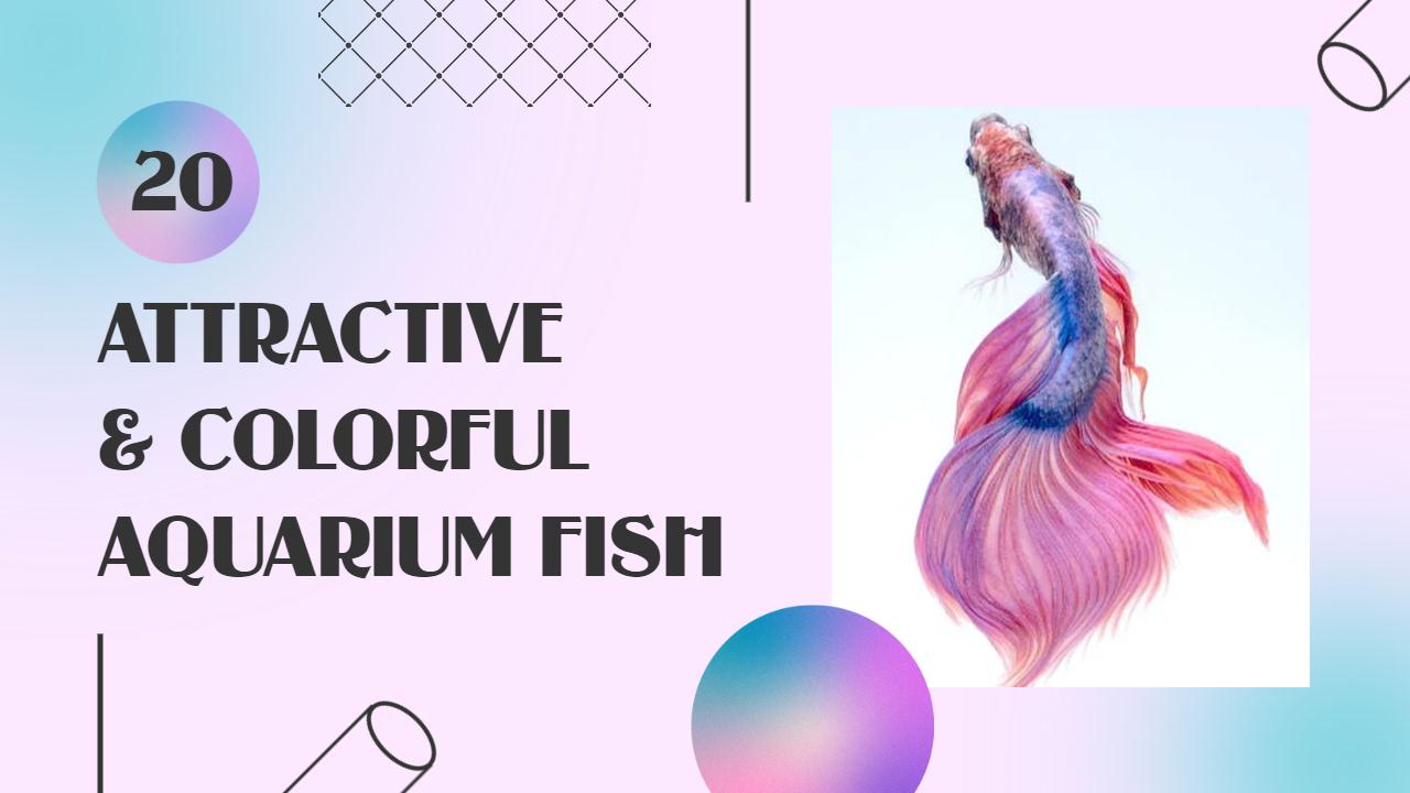 Vibrant Colorful Aquarium Fish Trending YouTube Thumbnail Template