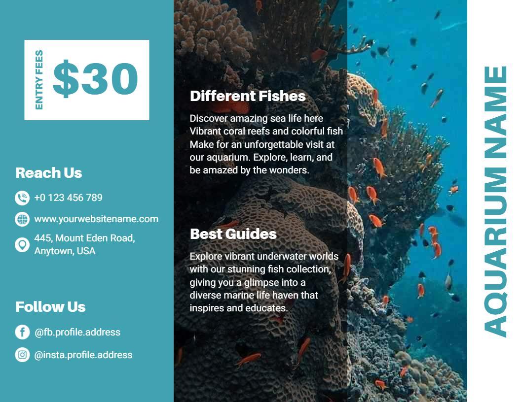 Vibrant Coral Reef Marine Life Exploration Brochure Template