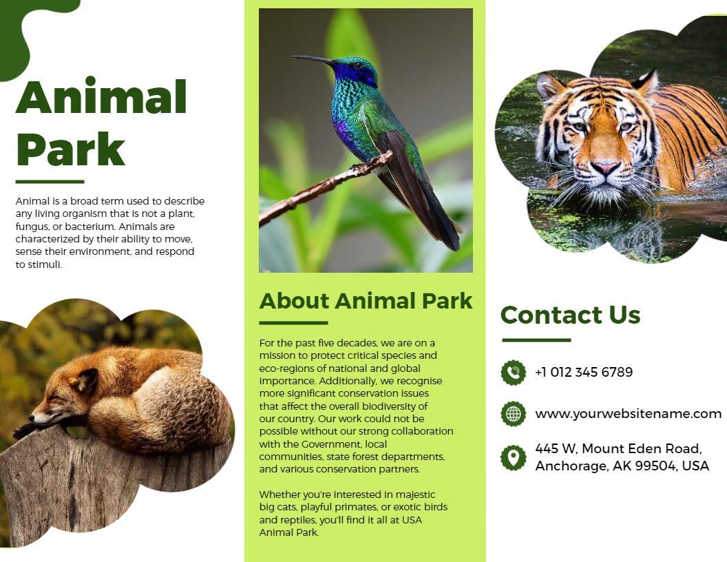 Vibrant Green Animal Park Info and Adoption Guide Brochure Template