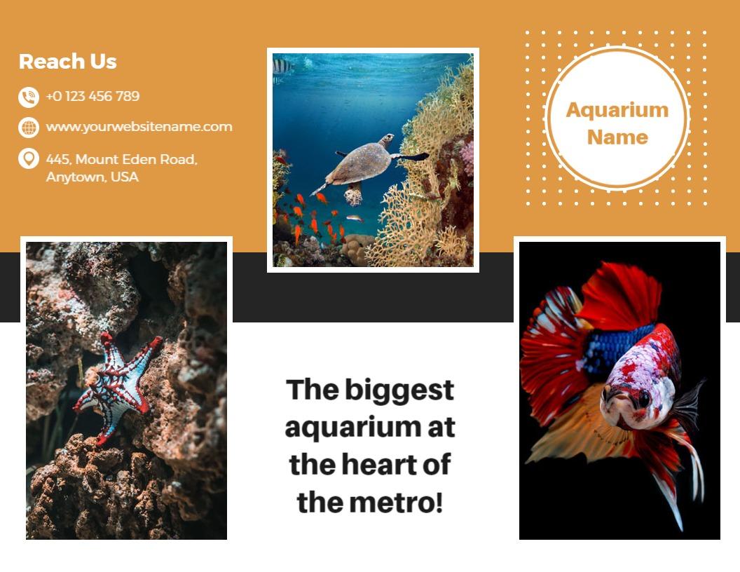 Vibrant Ocean Life and Exotic Fish Aquarium Brochure Template