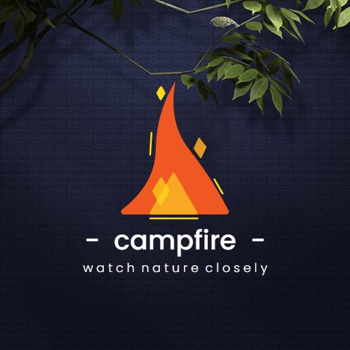 Vibrant Orange Flickering Flames Highlight Campfire Logo Template