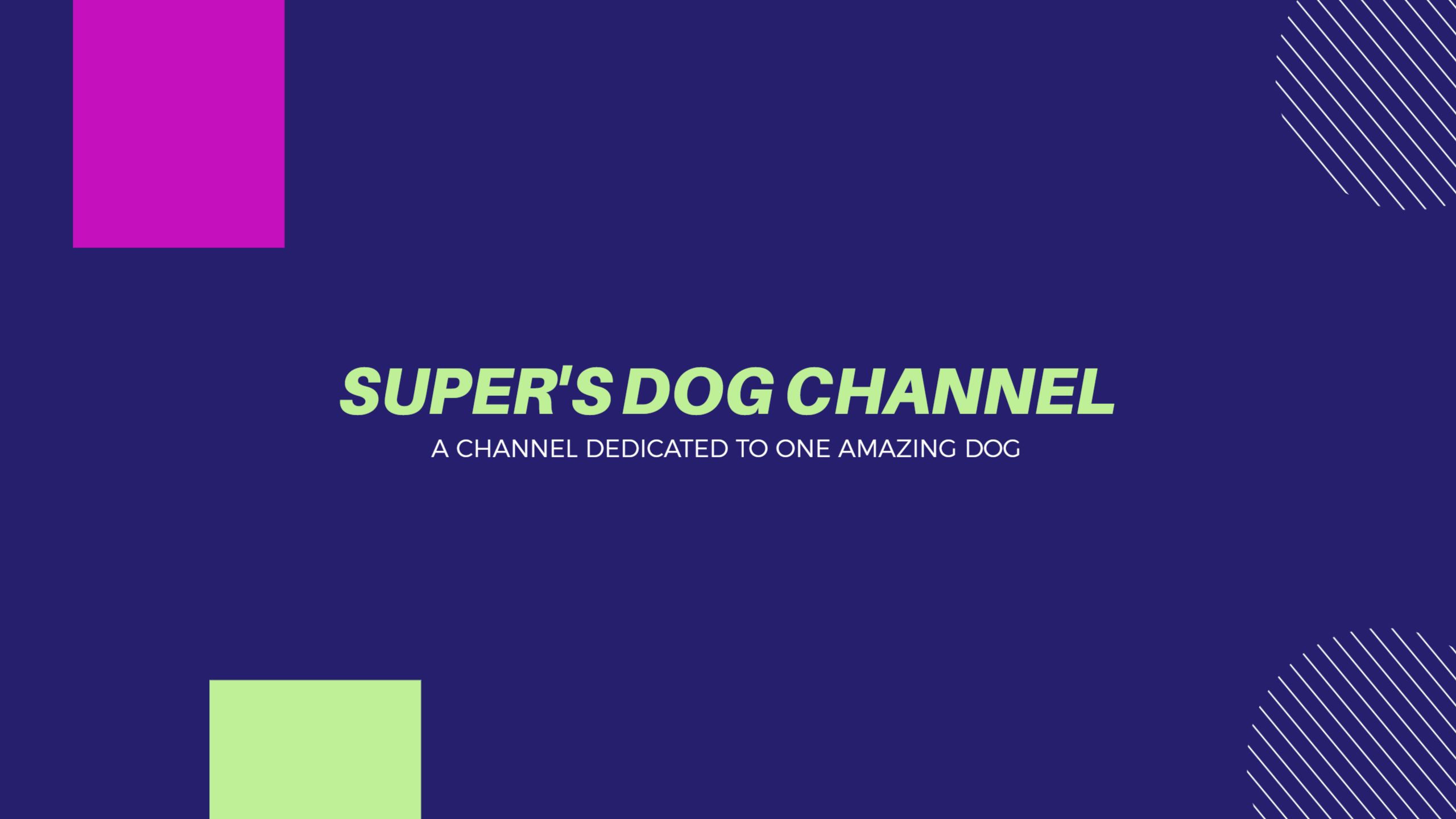 Vibrant Purple and Geometric Shapes for YouTube Channel Banner Template