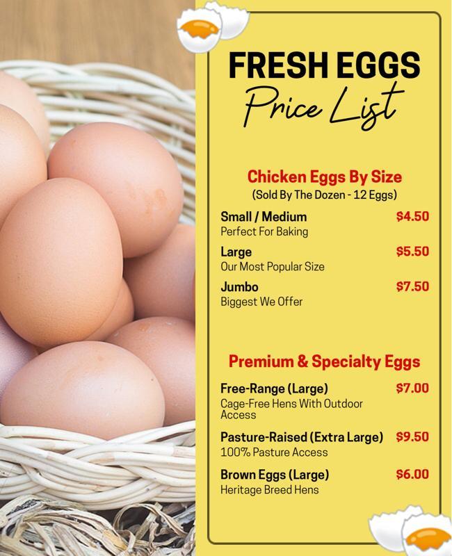 Vibrant Yellow Organic Fresh Egg Pricing Information Flyer Template