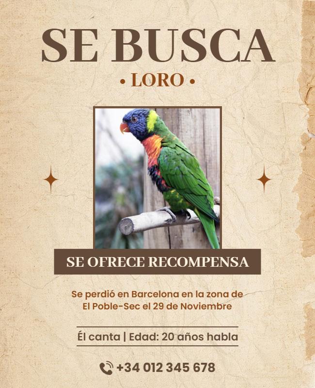 Vintage Lost Parrot Reward Announcement Poster Template