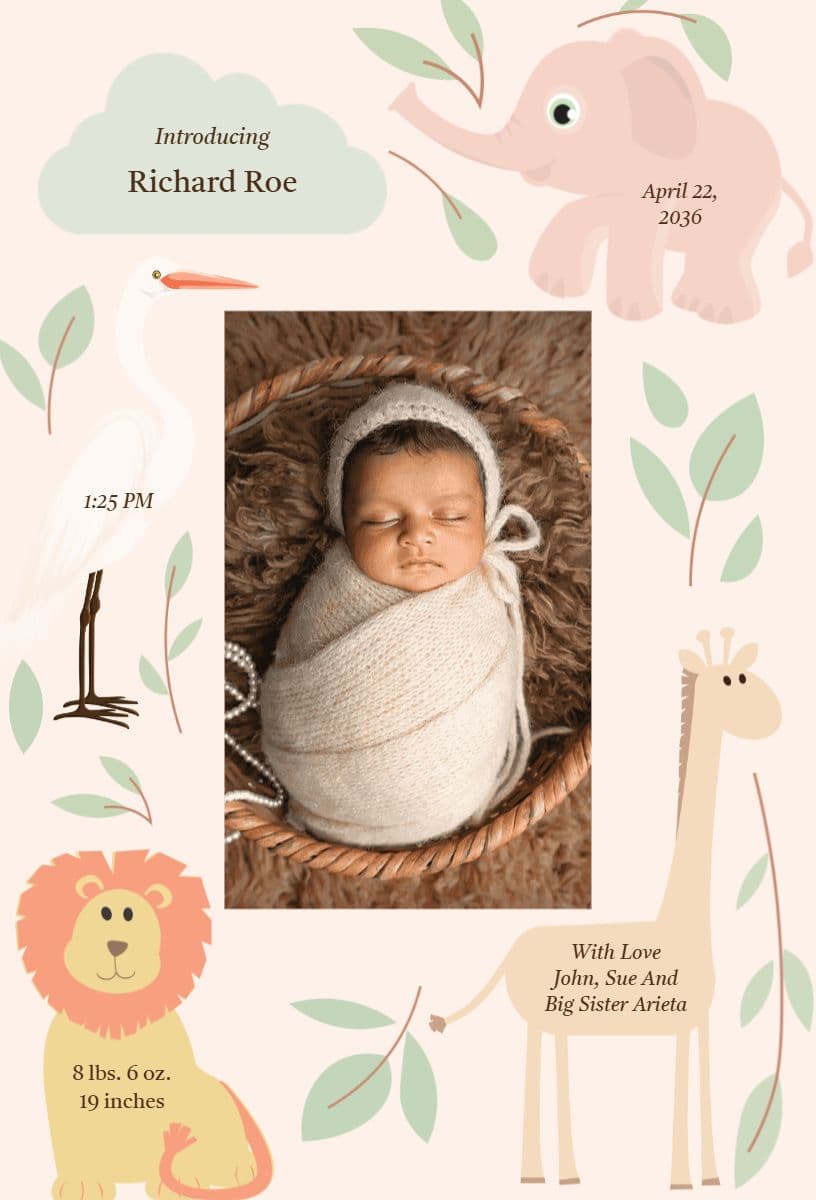 Whimsical Baby Birth Announcement Template