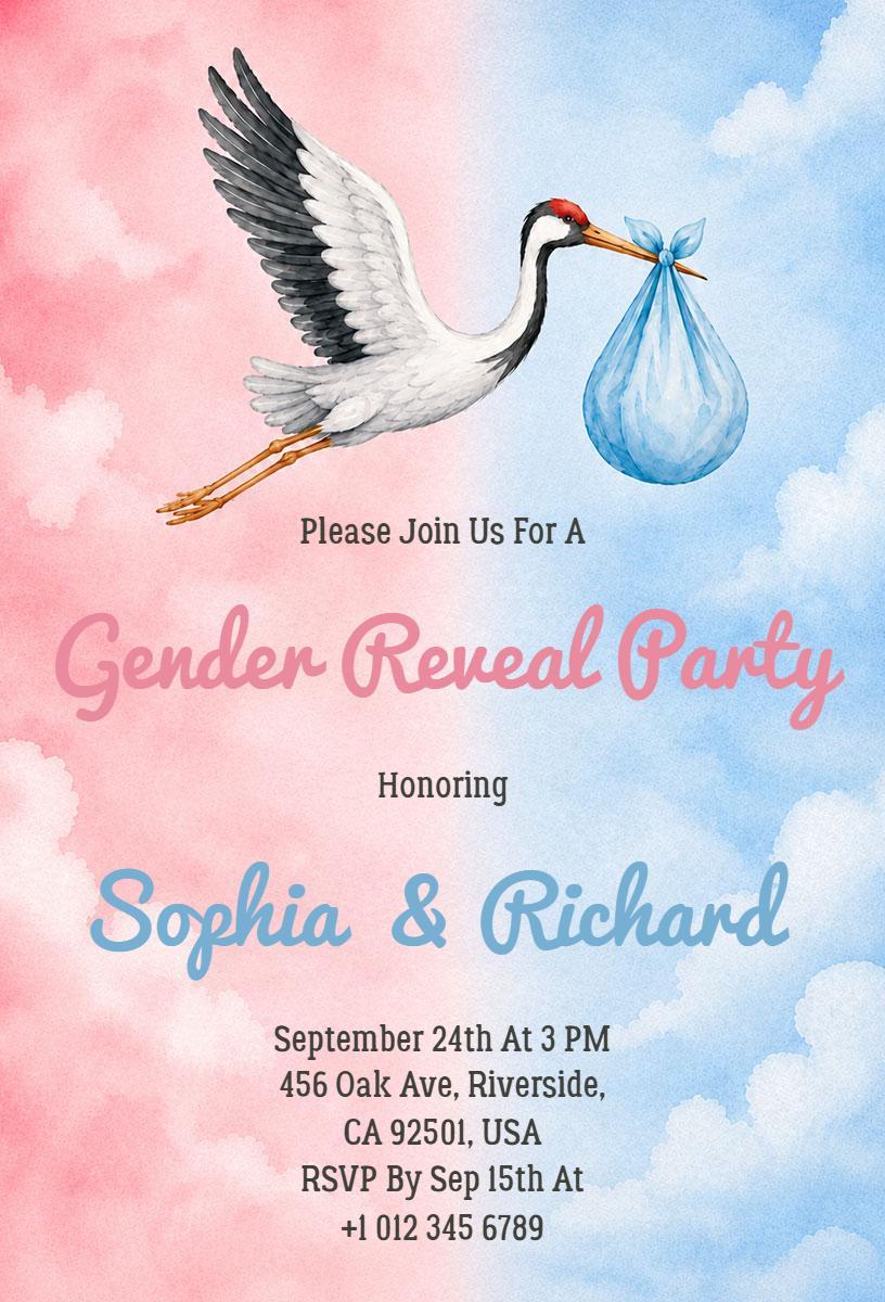 Whimsical Stork Gender Reveal Celebration Invitation Template