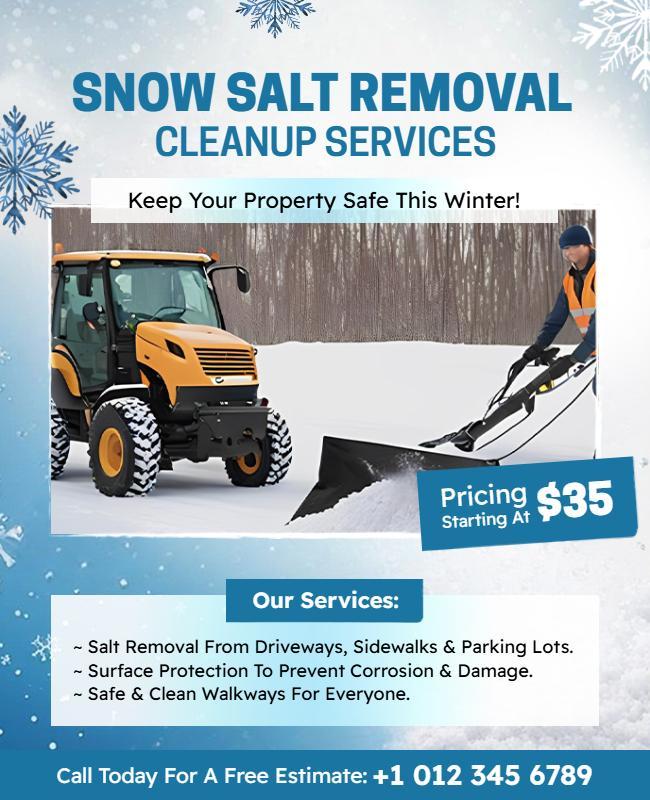 Winter Snow Salt Removal Cleanup Service Promotional Flyer Template