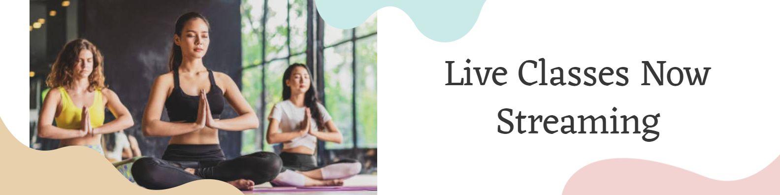 Yoga Studio with Diverse Instructors Live Classes LinkedIn Banner Template
