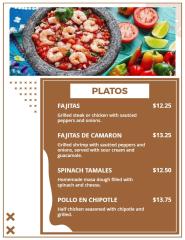 Flyer