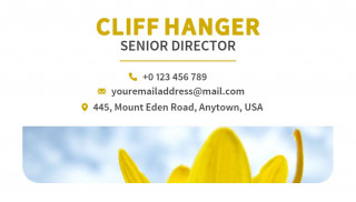 Flyer