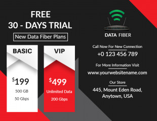 Flyer