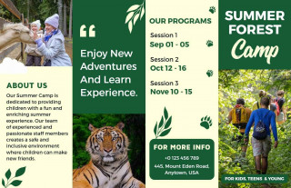 Flyer