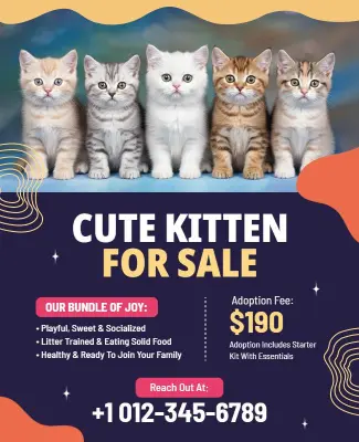 Adopt Playful Kittens Sale Flyer Template