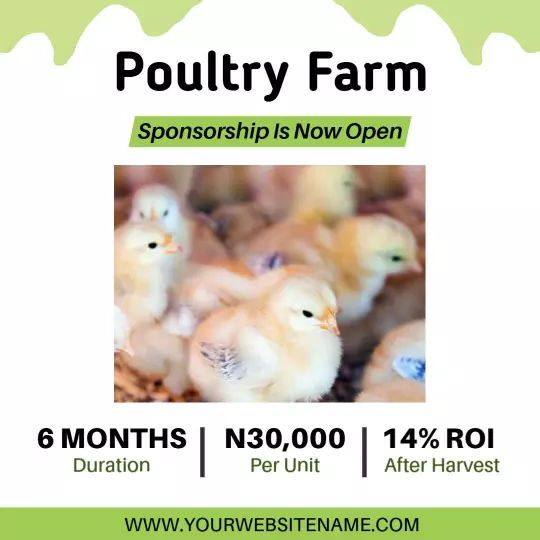 Adorable Chicks Sponsorship for Poultry Farm Investment Ad Template