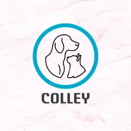 Adorable Dog and Cat Embrace Capturing Pet Love Logo Template