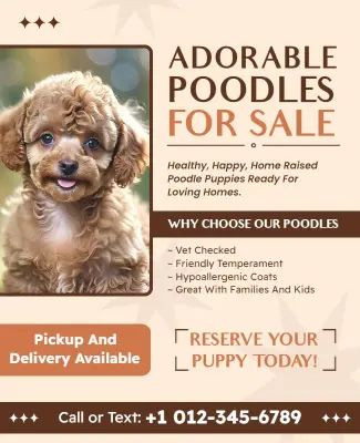 Adorable Poodles for Sale Flyer Template