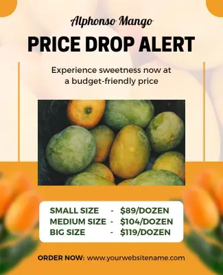 Alphonso Mango Price Alert Flyer Template